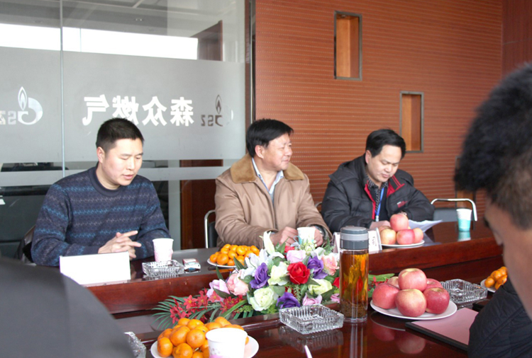 林口县政府与乐竞官网-乐竞(中国)一站式体育服务官网燃气项目洽谈.png